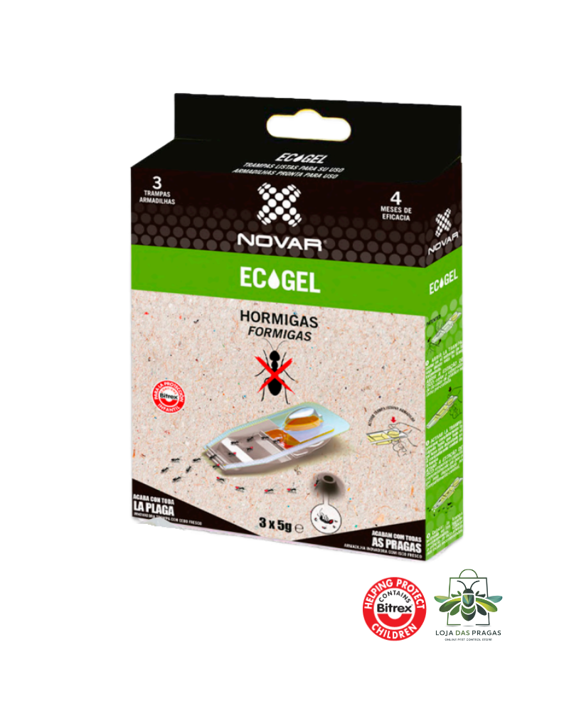 3 Armadilhas com Isco para Formigas