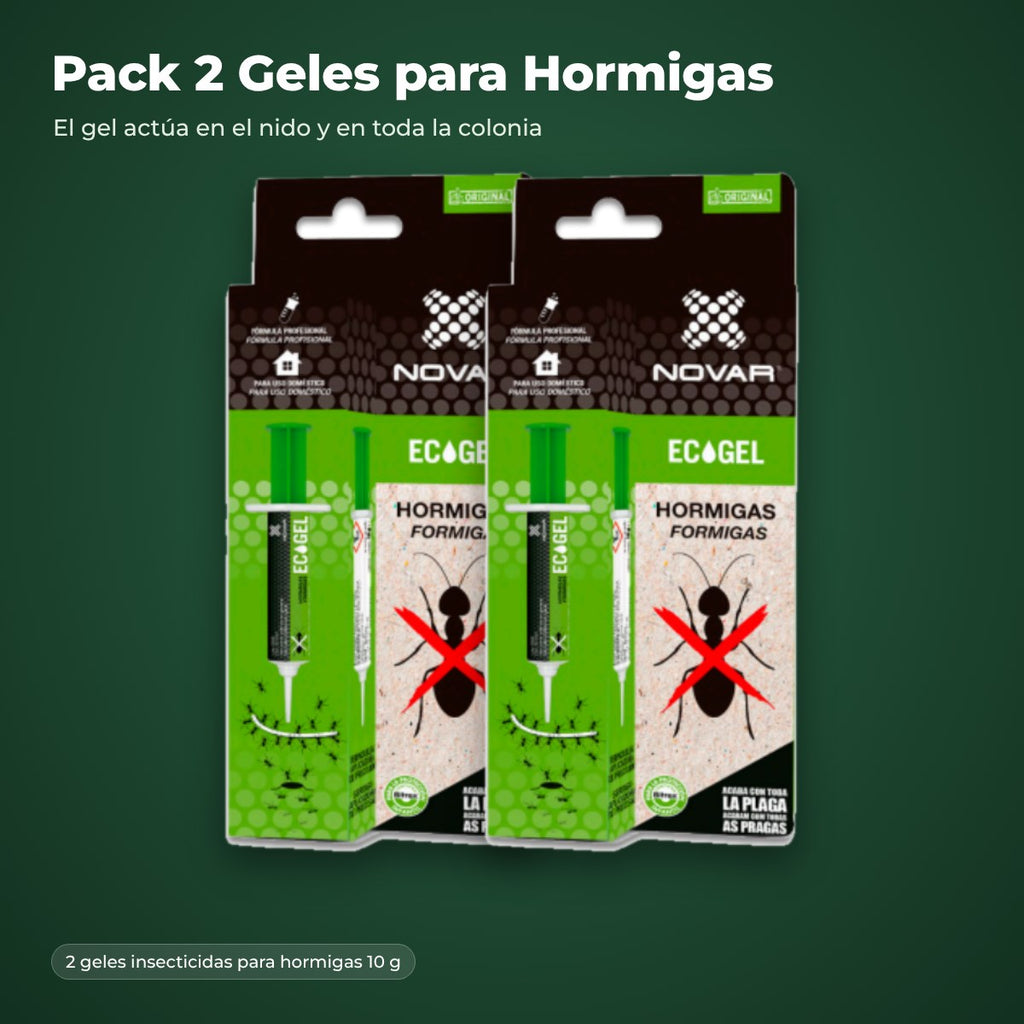 ES | Pack 2 geles para hormigas