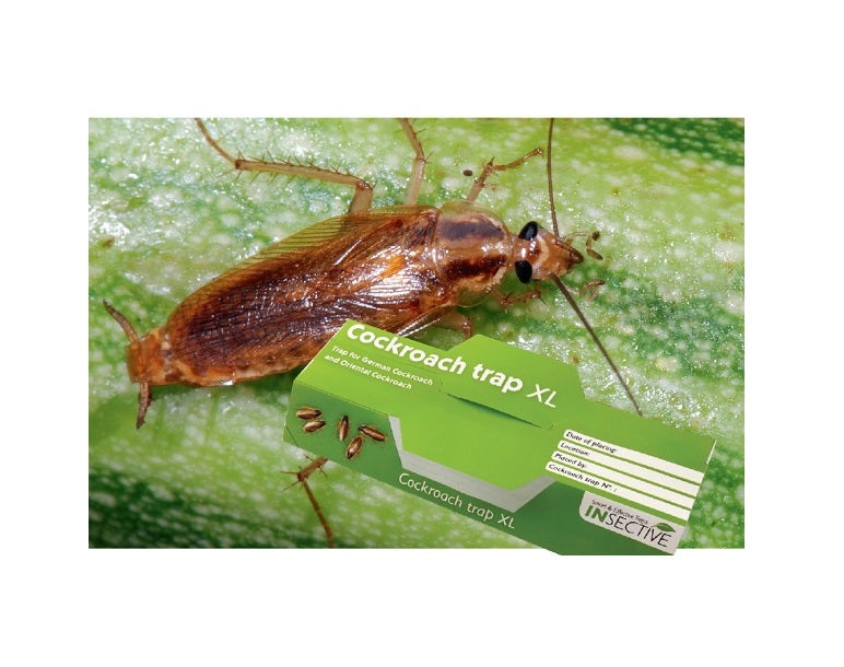 Armadilha XL para Baratas