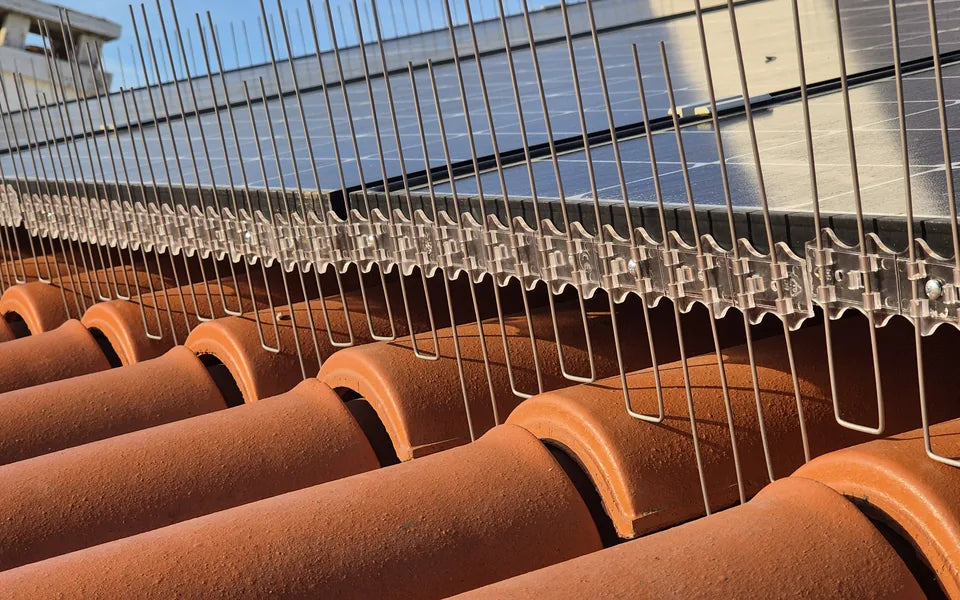 Painéis solares depois da proteção
