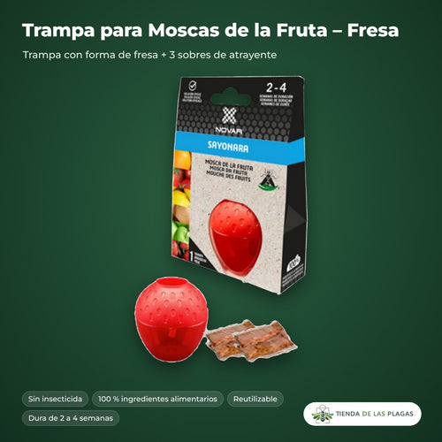 ES | Trampa para moscas de la fruta con forma de fresa, con 3 recargas